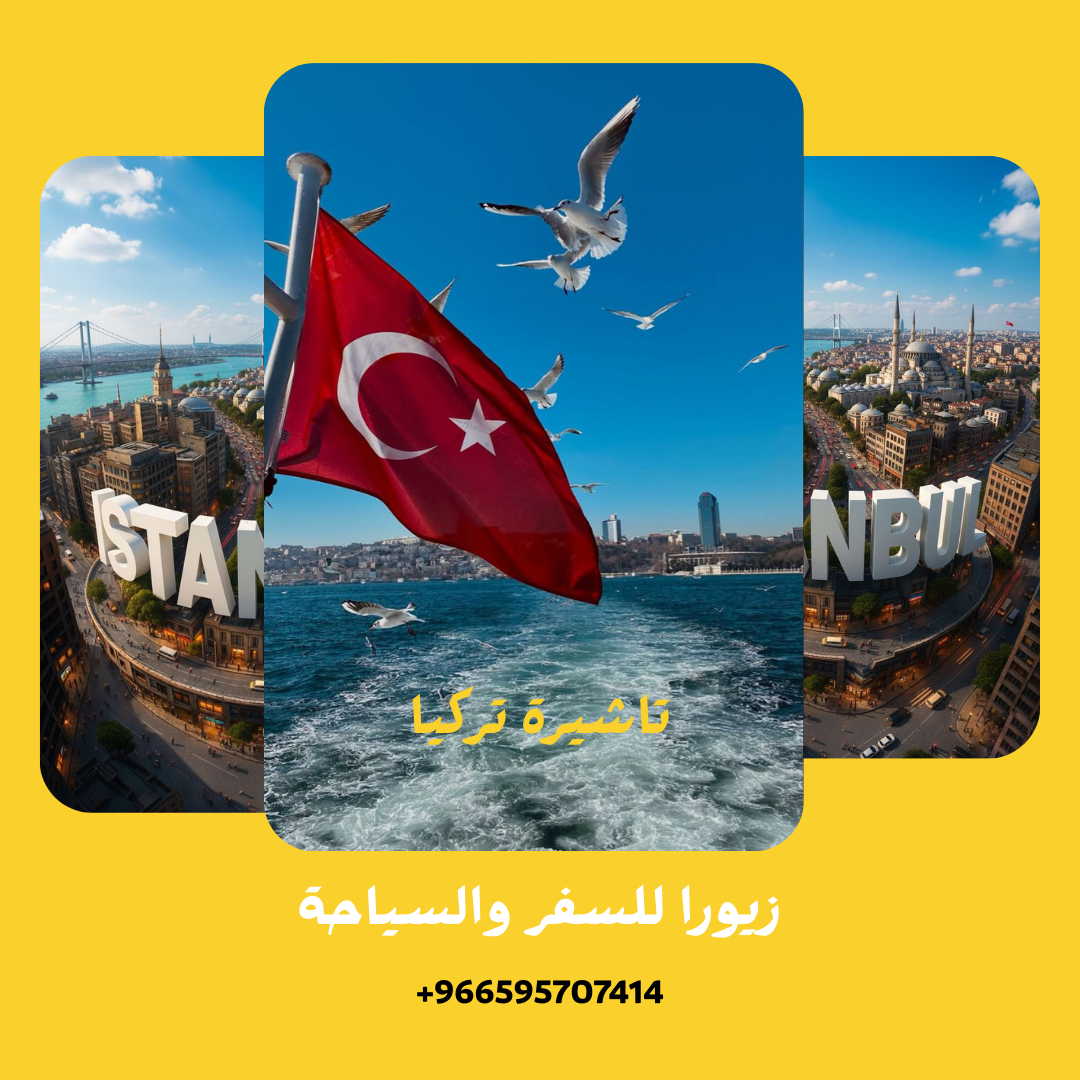 تاشيرة تركيا